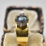 本日2点を追加いたしました