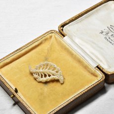 画像6: Sold ゴールド・パールブローチ (6)