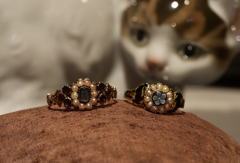 柏高島屋への出店と青山店臨時休業のお知らせです